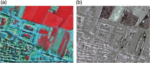 Figure 11. Fused multispectral SPOT 5 2005 image using Ehlers (a) and UNB (b) in the band combination 3 (near infrared), 2 (red), and 1 (green).