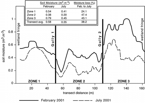 FIGURE 7. Soil moisture profiles across mire 1 during summer (Feb.) and winter (July) 2001