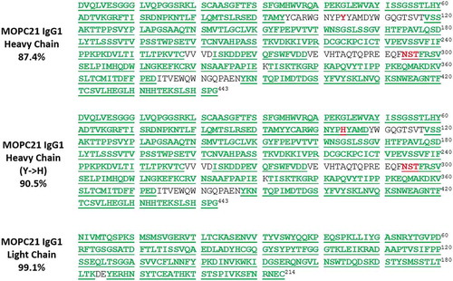 Figure 5. Sequence coverage of IgG1 MOPC21 using FPS method (E/S ratio 1:5).Sequence coverage map of heavy chain of IgG1 MOPC21 with expected sequence (upper).Sequence coverage map of heavy chain of IgG1 MOPC21 with point mutation (Tyr to His, highlighted in red) in the CDR3 (middle). Sequence coverage map of light chain of IgG1 MOPC21 with expected sequence (bottom). Amino acid sequences identified by FPS method are highlighted and underlined in green, and glycosylation motif (NST) in heavy chain is highlighted in red.