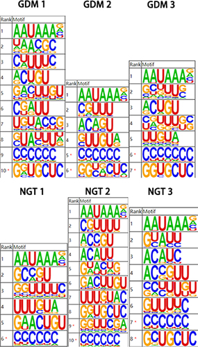 Figure 1 Sequence analysis of poly(A) loci.