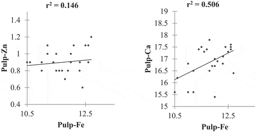 Figure 5. The correlation between Fe and Ca and the correlation between Fe and Zn