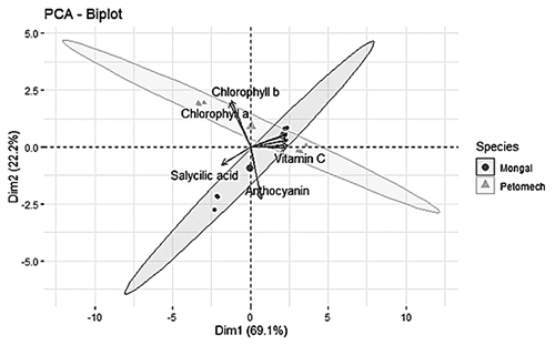 Figure 4. Distribution of phytonutrients according to cultivars.Figura 4. Distribución de fitonutrientes según los cultivares.