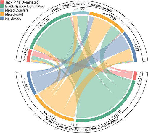 Figure 7. Chord diagram showing the distribution of the most frequently predicted species groups in the stands of the photo-interpreted inventory. The most frequently predicted species groups in each stand are shown in the bottom half and the stand-level species groups derived from photo-interpreted species composition are shown in the upper half.