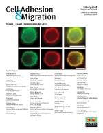 Cover image for Cell Adhesion & Migration, Volume 7, Issue 5, 2013