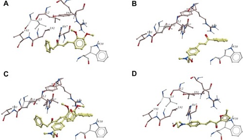 Figure 10 Ligand interactions with phospholipase A2-V.