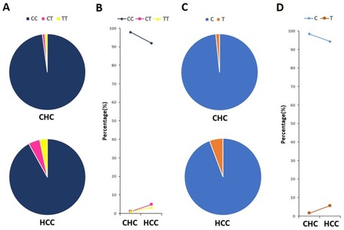 Figure 1 Genotype and allele frequencies of IFNL3 rs12979860 in CHC and HCC groups.