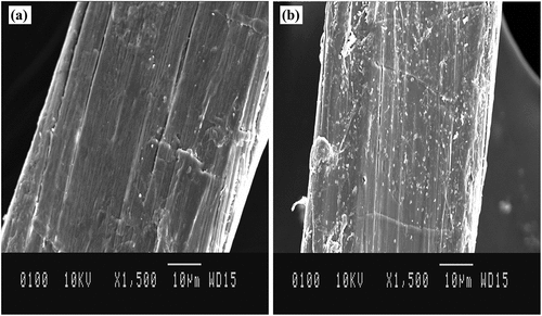 Figure 10. (a) Untreated nettle fiber (b) NaHCO3 (6%) treated nettle fiber.