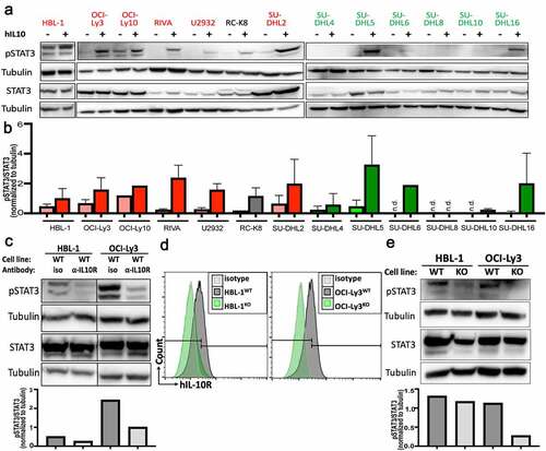 Figure 3. IL-10 induces STAT3 phosphorylation in IL-10RA-positive DLBCL cell lines. a,b, STAT3 phosphorylation as determined by Western blotting of the indicated ABC-DLBCL and GCB-DLBCL cell lines, with and without 2 hours of exposure to 30 ng/mL hIL-10. A representative Western blot is shown in a, and the densitometric quantification of pSTAT3/STAT3, normalized to tubulin, of one to three Western blots per cell line is shown as means + SD in b. c, STAT3 phosphorylation as assessed by Western blotting and quantified by densitometry, of two representative ABC-DLBCL cell lines, with or without 2 hours of exposure to 10 µg/mL IL-10RA-neutralizing antibody (clone 37607). d,e, Genetic deletion of IL10RA by CRISPR/Cas9 in the two indicated ABC-DLBCL cell lines results in loss of IL-10RA expression as determined by flow cytometry (d) and in reduced STAT3 phosphorylation as assessed by Western blotting (e) (WT, wild type; KO, IL-10RAKO). Data are representative of two clones per cell line, generated with two different single guide RNAs