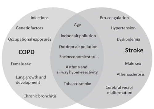 Figure 1. Overlapping risk factors for COPD and stroke.