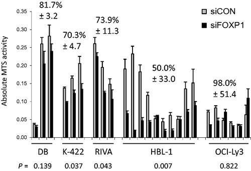 Figure 2. Variable effect of acute FOXP1 depletion on DLBCL cell line viability. DLBCL cell lines DB, Karpas-422 (GC-DLBCL) and RIVA, HBL-1, OCI-Ly3 (ABC-DLBCL) were maintained in RPMI media supplemented with L-glutamine and 10% fetal bovine serum. They were subjected to electroporation (Amaxa, Slough, UK) in the presence of 1 μM control (siCON) or siRNA oligonucleotides depleting all FOXP1 isoforms (siFOXP1). Viability was determined by MTS assay (Promega, Southampton, UK) 72 h after transfection according to the manufacturer’s instructions. Each bar represents mean ± SD of triplicate biological samples within a single experiment, and numbers above represent overall percentage viability ± SD in FOXP1 depleted relative to control cultures. When FOXP1 expression was determined by JC12 Western blotting, effective FOXP1 depletion was confirmed in all cell lines (data not shown).