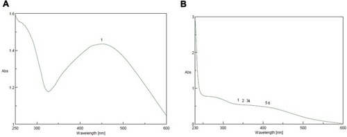 Figure 4 Ultraviolet-visible spectra analysis and color intensity of biosynthesized SNPs of (A) petroleum ether fraction of Amphimedon spp. and (B) total extract of Amphimedon.