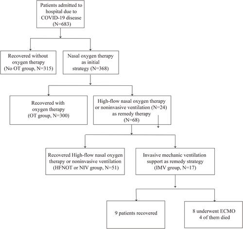 Figure 1 The flow chart of the study. Of the 683 subjects, 315 (46.1%) did not receive OT, 300 (43.9%) had nasal oxygen therapy, 68 patients underwent HFNOT or NIV; among these 68 patients, 51 patients successfully recovered from hypoxia, 17 patients had to be intubated, and 4 patients died.