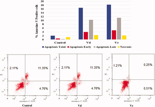 Figure 4. Effect of compounds Vd and Ve on the percentage of annexin V-FITC-positive staining in HCT-116 cells. The experiments were done in triplicates. The four quadrants identified as: LL: viable; LR: early apoptotic; UR: late apoptotic; UL: necrotic.