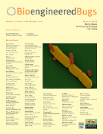 Cover image for Bioengineered, Volume 1, Issue 2, 2010