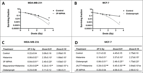 Figure 1. Effect of histamine on the radiosensitivity of breast cancer cells. (A) MDA-MB-231 and (B) MCF-7 cells were cultured in presence or absence of histamine (HA), H1R Agonist (3F-MPHA), H4R Agonist (Clobenpropit) and/or H1R antagonist (Mepyramine), or H4R antagonist (JNJ7777120, JNJ77) and clonogenic survival was determined. Radiobiological parameters (SF 2Gy: fraction of surviving cells after exposure to 2 Gy dose; Dose 0.01: dose that reduces survival to 1%; Dose 0.10: dose that reduces survival to 10%) for (C) MDA-MB-231 and (D) MCF-7 cells were obtained from the survival curves adjusted to the linear quadratic model [SF = e−(αD+βD2)]. Values are means ± SEM of 3 independent experiments performed in triplicates. (ANOVA and Newman-Keuls post test, *P < 0.05; **P < 0.01 vs. Control. #P < 0.05; ##P < 0.01 vs. Histamine).