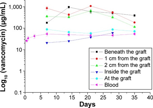 Figure 6 In vivo release behavior of the drug-eluting grafts.