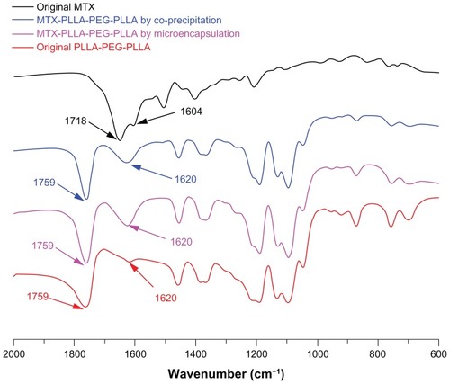 Figure 4 Fourier transform infrared spectra of methotrexate, PLLA-PEG-PLLA, and MTX-PLLA-PEG-PLLA microspheres from the microencapsulation process and the coprecipitation process.Abbreviations: MTX, methotrexate; PLLA-PEG-PLLA, poly(L-lactide)-poly(ethylene glycol)-poly(L-lactide).