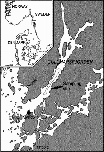 Figure 1. Location of the sampling site in Gullmarsfjorden on the Swedish west coast. The dotted line represents the 100 m isobath. KMRS=Kristineberg Marine Research Station.