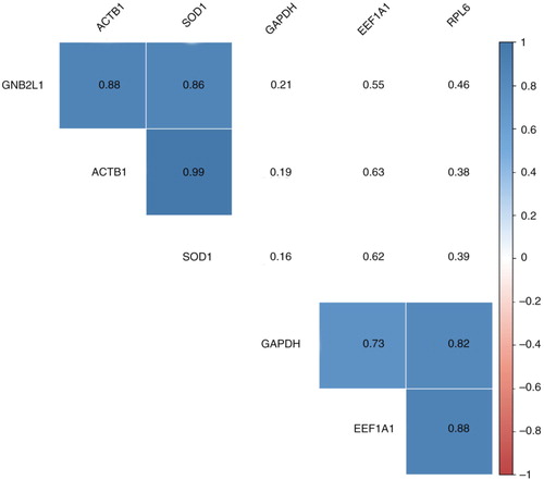 Fig. 4.  Gene correlation analysis. A correlation matrix was obtained using Ct values for each gene and sample. A value of 45 was assigned to non-detected genes to avoid the loss of data. The numbers correspond to r coefficients, and only significant values (p < 0.05) are coloured using a proportional colour r-scale (n = 10). The values employed to generate the correlation matrix can be found in Supplementary Table VII.