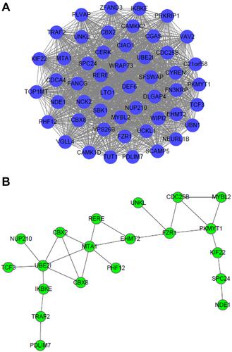 Figure 5 Visualization for (A) gene–gene interactions and (B) PPI network of the top 50 genes in the blue module.