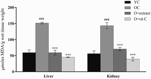 Figure 1 Effect of P. fulgens extract on lipid peroxidation in liver and kidney of 18-month-old mice. Values are mean ± SD, n = 6, ###P < 0.001 compared to 2-month control group (YC); **P < 0.01, ***P < 0.001 compared to 18-month control group (OC); vit C: vitamin C.