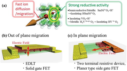 Figure 10. (a) Schematic illustrations of the concept of electric field assisted ion (proton) migration device. (b) Out of plane ion migration geometry at interface. (c) In-plane ion migration geometry at interface.