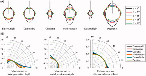 Figure 5. Effect of anisotropic tissue permeability on delivery outcomes of different drugs. (A) Spatial distribution of effective drug concentration. (B) Enhancement on drug effective penetration and delivery volume as a function of anisotropic angle of θ in the range of 1o to 89o.