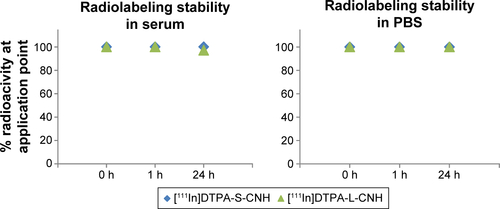 Figure S4 Radiolabeling stability of [111In]DTPA-S-CNHs and [111In]DTPA-L-CNHs in mouse serum (left) and PBS (right) over 24 hours (h).Abbreviations: DTPA, diethylenetriaminepentaacetic acid; CNHs, carbon nanohorns; S-CNHs, small-sized CNHs; L-CNHs, large-sized CNHs; PBS, phosphate-buffered saline.