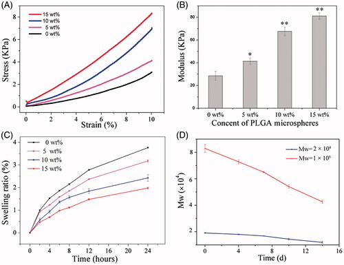 Figure 2. (A) Representative stress − strain curves and (B) compressive modulus of the composite hydrogels with different content of PMs. *p < .01, **p < .001, compared to the group without microspheres; (C) the effect of PMs content on the swelling profile of the composite hydrogel; (D) dependence of molecular weight of the released PMs on degradation time during in vitro degradation in PBS solution at 37 °C.