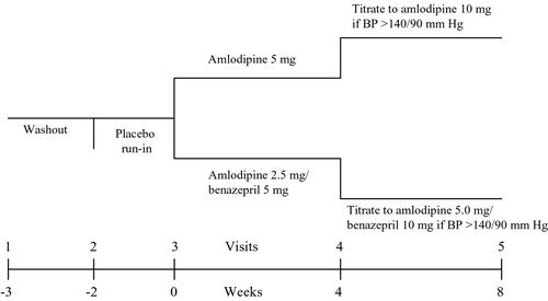 Figure 1. A study protocol diagram.