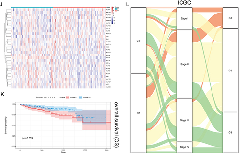 Figure 2 Unsupervised Machine Learning algorithms have been used to identify 2 molecular subtypes. (A) The consensus score matrix of all samples when k = 2. The higher the consensus score was, the more likely they were assigned to the same group based on TCGA-LIHC. (B) Left: The cumulative distribution function (CDF) curves in consensus cluster analysis. CDF curves of consensus scores by different subtype numbers (k = 2, 3, 4, 5, and 6) were displayed. Right: Relative change in area under the CDF curve for k = 2–6. (C) The Principal Component Analysis (PCA) distribution of TCGA-LIHC samples by expression profile of calcium channel molecules. Each point represents a single sample; different colors represent the C1 and C2 subtypes respectively. (D) Expression distribution of 30 NPC molecules between two subtypes based on TCGA. (E) Survival analysis including Overall Survival (OS), Disease-Specific Survival (DSS) and Progression-Free interval (PFI) based on 2 subtypes (TCGA-LIHC, Logrank test, n = 374). (F) The Sankey diagram fully demonstrated the association between Clinicopathological and subtypes attributes. (G) The consensus score matrix of all samples when k = 2. The higher the consensus score was, the more likely they were assigned to the same group based on ICGC. (H) Left: The cumulative distribution function (CDF) curves in consensus cluster analysis. CDF curves of consensus scores by different subtype numbers (k = 2, 3, 4, 5, and 6) were displayed. Right: Relative change in area under the CDF curve for k = 2–6. (I) The Principal Component Analysis (PCA) distribution of ICGC samples by expression profile of NPC-related molecules. Each point represents a single sample; different colors represent the C1 and C2 subtypes respectively. (J) Expression distribution of 30 NPC molecules between two subtypes based on ICGC. (K) Survival analysis including Overall Survival (OS) based on two subtypes (ICGC, Logrank test, n = 240). (L) The Sankey diagram fully demonstrated the association between Clinicopathological and subtypes attributes based on ICGC.