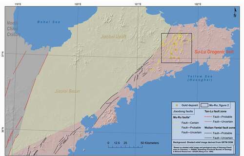 Figure 1. Regional structural setting of Jiaodong. By the Late Jurassic, the NNE- to NE-striking Tan-Lu fault accommodated sinistral slip as part of a transpressional regime during oblique subduction of the Izanagi (paleo-Pacific) Plate (Zhu et al., Citation2010). A switch to extensional tectonics in the Early Cretaceous (Zhu et al., Citation2010), presumably due to roll-back of the Izanagi plate, may have aided the emplacement of granites (Goss et al., Citation2010) and the development of extensional veins