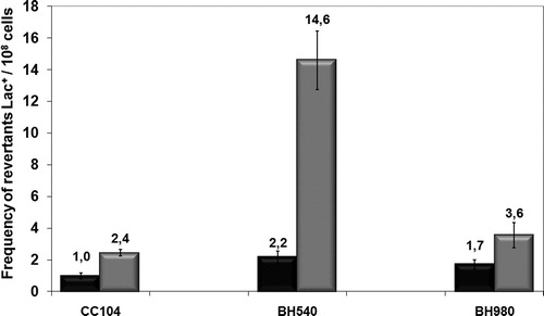 Figure 3. Mutagenesis LacZ of E. coli wild-type CC104, mutM− mutant BH540 and mutY− mutant BH980 not treated (black column) or irradiated with 120 J/m2 of UVC (254 nm) (gray column). Values are the mean of at least five experiments and were submitted to ANOVA test followed Tukey's comparison test (P < 0.001).
