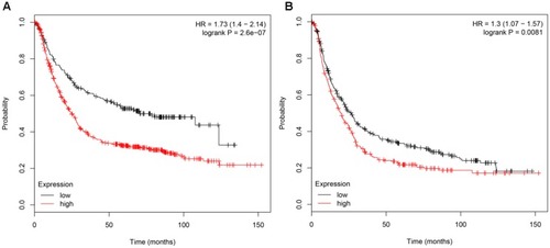 Figure 4 Survival analysis using the Kaplan-Meier curve. Patients with high expression of TL1A (A) and SRC (B) had worse OS than those with low expression.