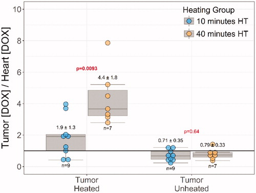 Figure 4. Therapeutic ratio of doxorubicin deposition in tumors vs. heart muscle in rabbits administered LTSL-Dox and MR-HIFU hyperthermia. Comparisons between heating durations of 10 min vs. 40 min were made by paired t-tests with a significance level of .05.