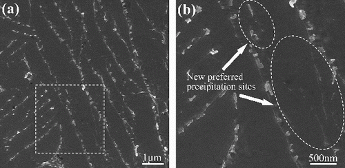 Figure 3. (a) SEM image of Group A-LTP after low-temperature pre-deformation; (b) magnified micrograph for the square regions marked in (a).
