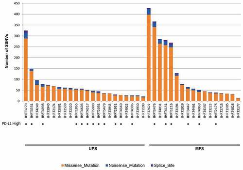 Figure 7. Distribution of the number of non-silent SSNVs (orange – missense variants; blue – nonsense variants; purple – splice site variants) identified in the coding regions of the UPS and MFS tumor genomes analyzed by DNA next-generation sequencing. The UPS and MFS tumors with high PD-L1 expression are indicated