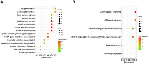 Figure 2 GO enrichment analysis and KEGG pathway analysis of 10 common genes. (A) GO analysis for ten target genes of GABRG2 and VPA-induced ADRs. Polka dots, triangles, and squares refer to biological process (BP), cellular components (CC), and molecular function (MF), respectively. (B) The KEGG pathway analysis of VPA-induced ADRs. Gene ratio represents the ratio of enriched genes to all target genes, and counts refer to the number of the enriched genes.