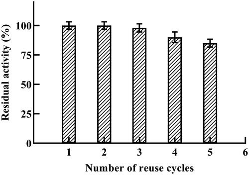 Figure 5. Reusability of E-AC in repeated amylolytic reaction. Residual activity of the immobilized α-amylase (in %) after six cycles of repeated use (initial activity was taken as 100%).