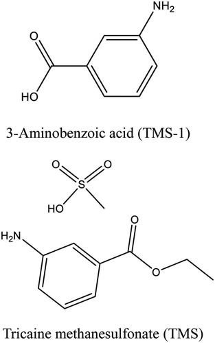 Figure 1. The molecular structure of TMS and TMS-1.