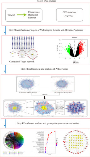 Figure 1 Workflow for Yizhiqingxin formula treatment of Alzheimer’s disease.