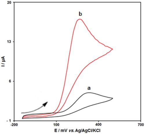 Figure 1. Cyclic voltammograms of un-modified GCE (curve a) and CeO2/ZnO/GCE (curve b) in 0.1 M PBS (pH 7.0) containing 500.0 µM norepinephrine at the scan rate of 50 mV s−1.