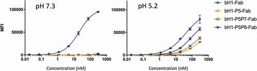 Figure 5. pH dependence of Fab variants binding to Her2-expressing SKOV3 cells. Selected anti-Her2 Fab variants were analyzed for cell-based binding by flow cytometry under acidic and physiological pH conditions (using Method A, Materials and Methods section). Error bars represent standard deviations between technical replicates