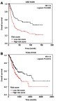 Figure 7 The overall survival rate of gastric cancer patients with different (high and low). (A) Data collected from GSE15459; (B) Data collected from TCGA-STAD. The risk score was calculated by the formula: Risk score=0.45COL1A1+0.48COL4A1.