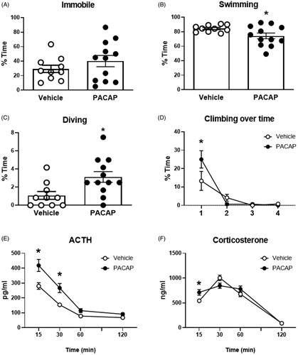 Figure 3. Behavioral and HPA axis responses to forced swim test after PACAP or vehicle infusions into the IL (A–D). While overall immobility was not affected by PACAP (A), active behaviors such as swimming (B), climbing (C), and diving (D) were affected in PACAP treated animals. Blood samples were taken following completion of the FST for ACTH and CORT determinations. ACTH was significantly increased in PACAP-treated animals relative to controls at early post-FST time points, whereas corticosterone secretion was slightly increased only at the first post-stress time point and the overall corticosterone response was not affected. Data as Mean ± SEM. *p < 0.05.