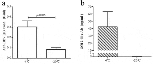 Figure 5. Quantification oftotal IgG and 8G12-like antibodies in mice serum vaccinated by 1.6 μg freezing treated or untreated vaccine. (A) Total IgG in serum vaccinated by treated vaccine decreased 3.6-fold than that in serum vaccinated by untreated vaccine (p = 0.005) (B) Specific neutralizing antibody 8G12-like antibody couldn’t be detected in frozen vaccine immunity serum, but the mean level of 8G12-like antibody in control group was 42.45 ng/ml.