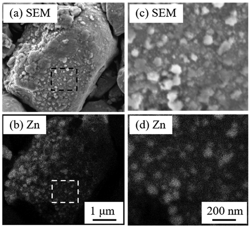 Figure 13. SEM and Zn mapping images of APDed Sm-Fe-N/Zn composite powders. (c) and (d) show magnified images of the squares indicated in (a) and (b) [Citation83]. Reproduced from [Citation83] with the permission of ELSEVIER