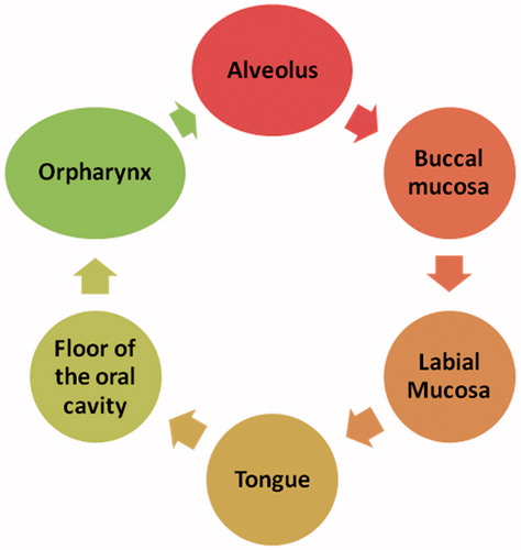 Figure 1. Distribution of oral cancer in oral cavity.