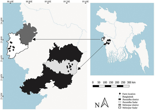 Figure 1. (Left) farm locations of Bijoypur and Dakkhin Shalika, and (right) sub-locations in Meherpur and Jhenaidha districts, respectively, in south western Bangladesh.