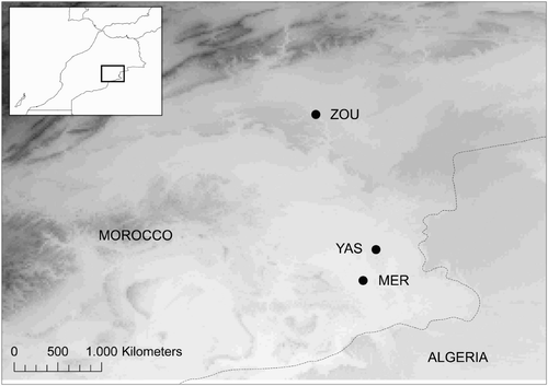 Figure 1. Locations of the three oases where the study was carried out. MER, Merzouga; YAS, Yasmina; ZOU, Zouala; altitudinal ranges in the area are represented in grey (higher areas shown in darker grey).
